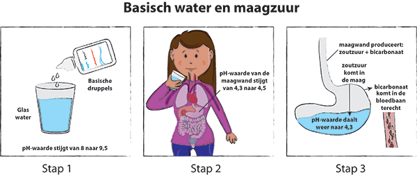 Basischwater drinken
